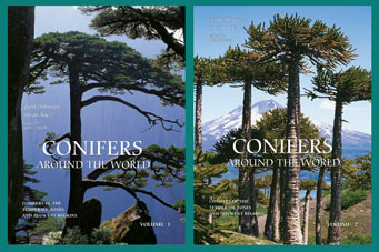 CONIFERS AROUND THE WORLD - Cover