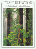 From the Redwood Forest - Cover
