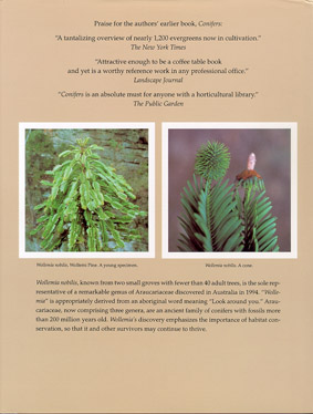 Conifers: The Illustrated Encyclopedia - Cover