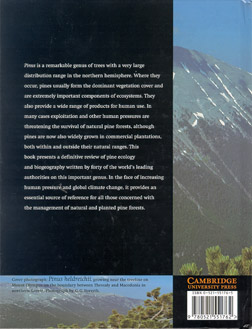 SUGAR PINE, Status, Values and Roles in Ecosystems - Back-Cover