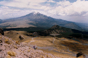 Timberline Mexico