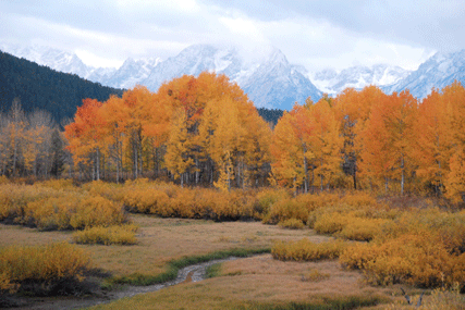 Grand Teton