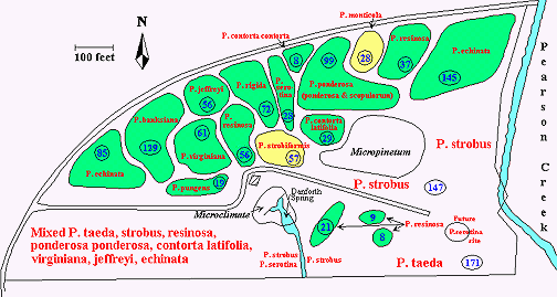 pearson1map.gif (32136 bytes)