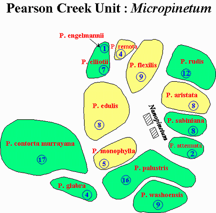 pearson2map.gif (35328 bytes)