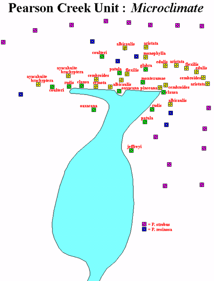 pearson3map.gif (24988 bytes)