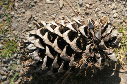 Sierra Madre Oriental