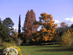 Botanical Garden of Geneva